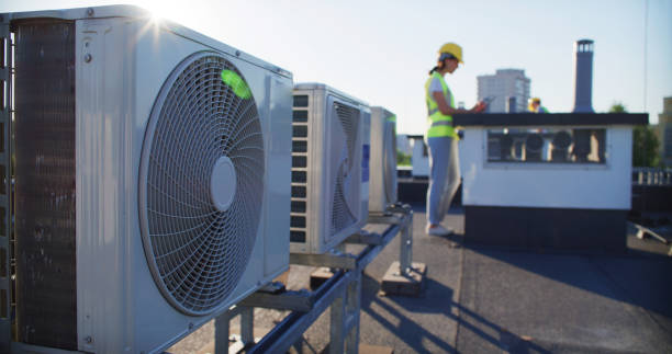 Best Air Duct Mold Removal  in Rice Lake, MN
