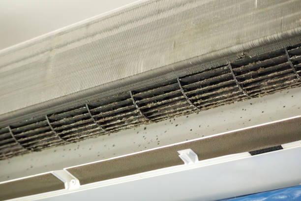 Best HVAC Air Duct Cleaning  in Rice Lake, MN