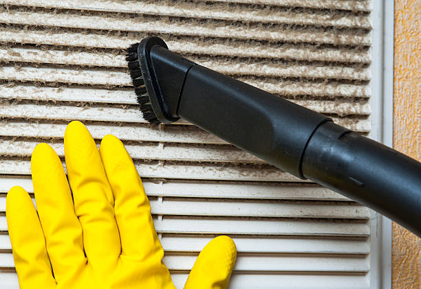 Best Best Air Duct Cleaning Company  in Rice Lake, MN